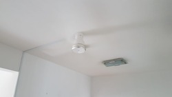 Palm Lodge (D14), Apartment #210114861